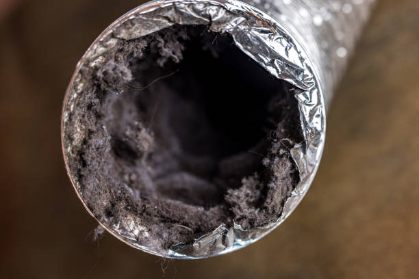 Best Professional Duct Cleaning Services  in Beltsville, MD